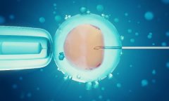 鲜胚移植后能吃紫素吗？移植后能吃枸杞吗？