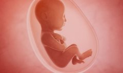 胚胎停孕的原因有哪些？该怎么办？